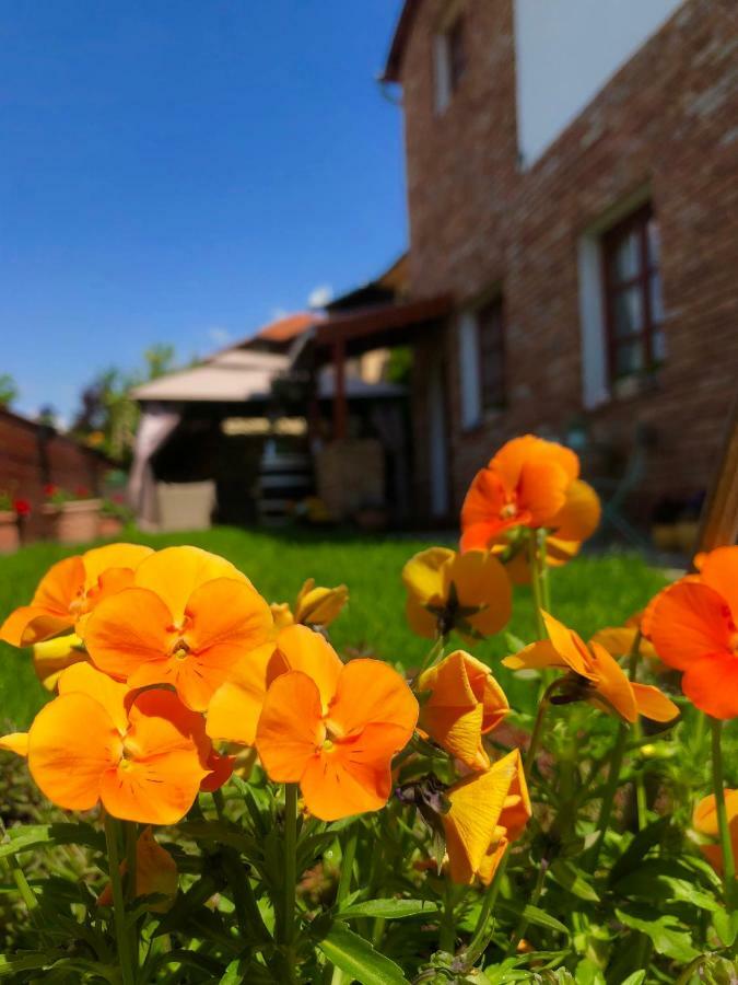 Janicsar Garden Apartman Eger Exterior photo